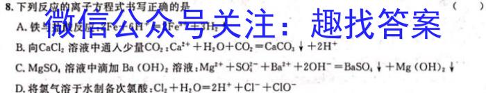 q江西省2023-2024学年高一年级上学期选科调研测试化学