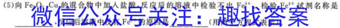 f衡水金卷先享题调研卷2024答案(JJ·A)(二)化学