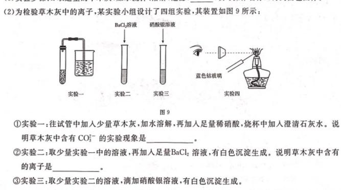 1陕西省2023秋季九年级期末素养测评卷化学试卷答案