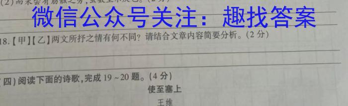 安徽省2024年中考九年级第三次质量调研考试语文