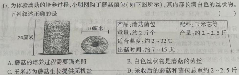 陕西省2025届高三年级一轮复习阶段性联考12月联考检测生物