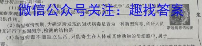 安徽省2023-2024学年同步达标自主练习·七年级第三次生物学试题答案