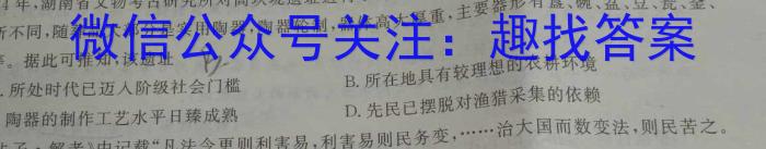 2023-2024学年安徽省七年级教学质量检测(四)历史试卷答案