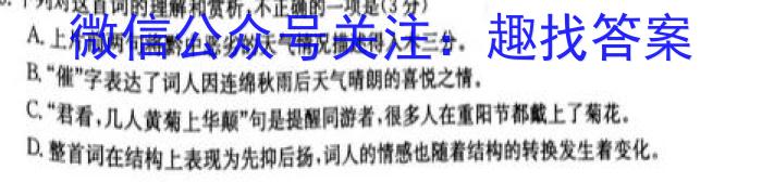 安徽省包河区2023-2024学年第二学期七年级期末教学质量监测（试题卷）语文