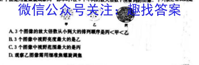 九师联盟 2024届高三12月质量检测巩固卷LG生物学试题答案