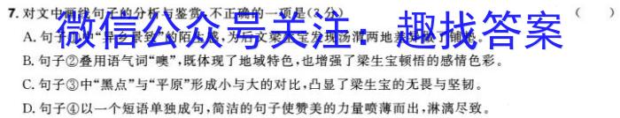 河南省漯河市2023-2024学年度七年级上期期末学业质量评估语文