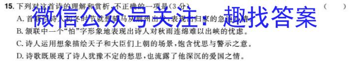 2024年湖南省初中学业水平考试模拟试卷(BEST联考)/语文