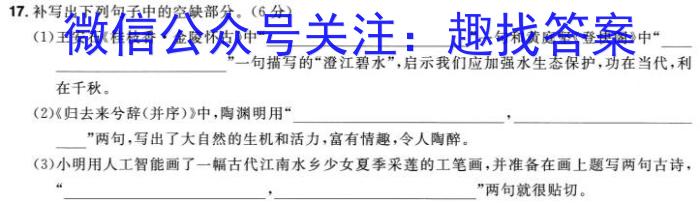 文博志鸿河南省2023-2024学年第一学期九年级期末教学质量检测（A）/语文