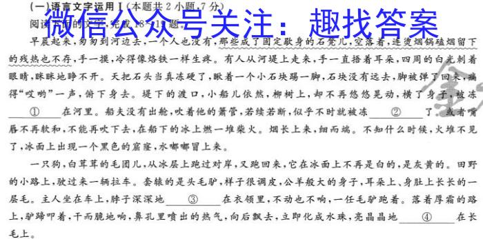 2024年湖南省普通高中学业水平选择性考试冲刺压轴卷(二)2/语文