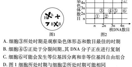 安徽省2023-2024学年度高二第一学期芜湖市中学教学质量监控生物