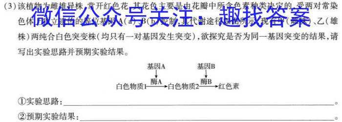 2024届高三第一次学业质量评价(T8 联考)生物学试题答案