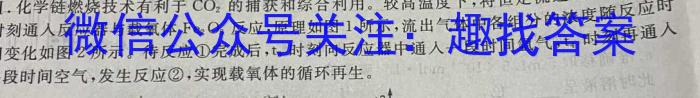 f山西省2023~2024学年高二上学期12月月考(242433Z)化学