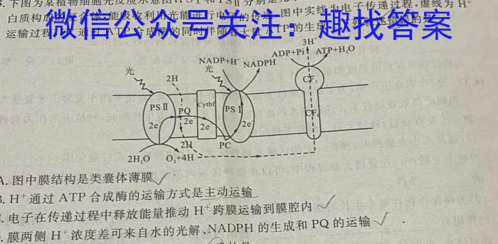 2024三湘大联考初中学业水平考试模拟试卷(六)生物学试题答案