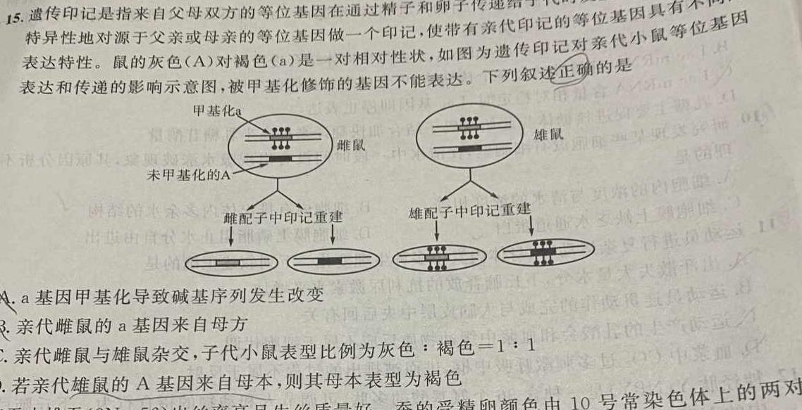 2024年河北省初中毕业生第二阶段综合复习思维拓展(八)生物学部分