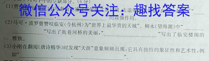 2023-2024学年度上学期高三年级自我提升五(HZ)语文