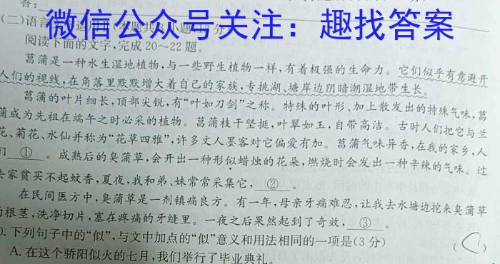 2024年湖南省高三名校联考模拟卷(三)语文