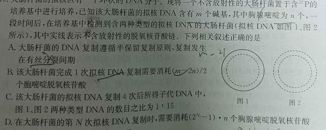 2024普通高等学校招生全国统一考试·模拟调研卷(五)5生物学部分