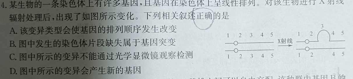 名校计划2024年河北省中考适应性模拟检测（实战型）生物学试题答案