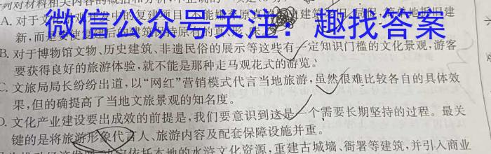 安徽省宿州市省、市示范高中2023-2024学年度高一第一学期期末教学质量检测语文