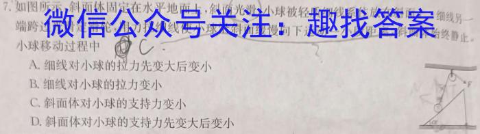 甘肃省2024~2025学年度第一学期第一次月考试卷（高三）物理试卷答案