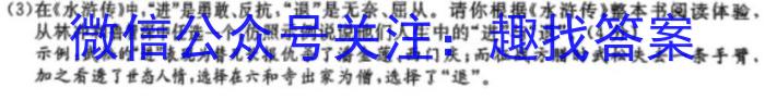 ［智育评价］蒙城县庄子中学联盟2023-2024学年度八年级期中综合素质评价语文