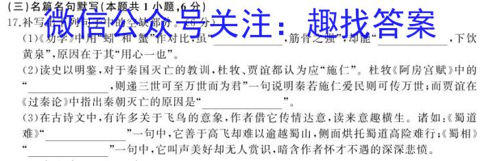 天一大联考2024年九年级学业水平模拟测评语文