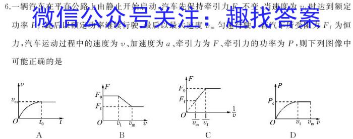 2024届东北育才学校科学高中高考适应性测试物理试题答案