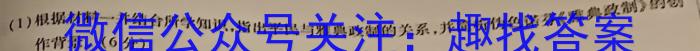 安徽省蚌埠市2025届高三调研性考试&政治