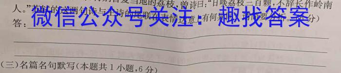 江西省2024年赣州经开区九年级期中测试卷语文