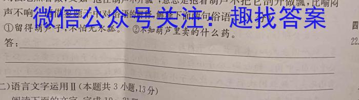 皖江名校2023届初中毕业班第三次教学质量抽测语文