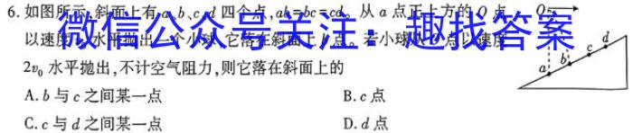 安徽省合肥八中2024届高三“最后一卷”物理试题答案