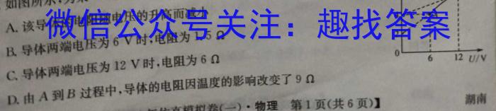 2024届湖南省高三5月适应性考试物理`