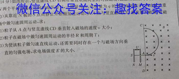 2024年全国100所名校高三月考卷（二）物理试卷答案