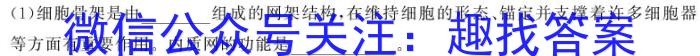 2024届智慧上进 名校学术联盟 考前冲刺 精品预测卷(四)生物学试题答案