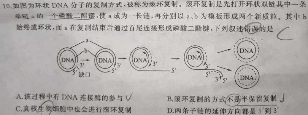 12023-2024学年山西省高二12月联合考试(24-217B)化学试卷答案