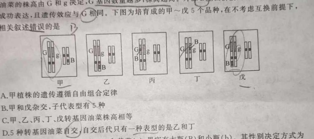 1河南省2023-2024学年高一年级阶段性测试（二）化学试卷答案