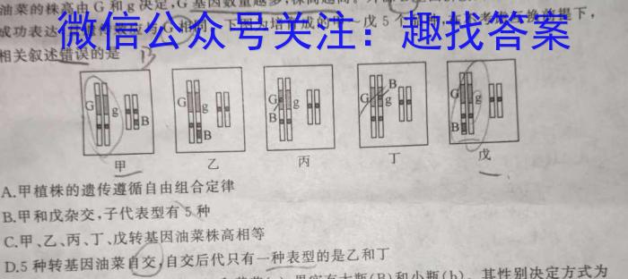 3江西省2025届八年级（四）12.27化学试题