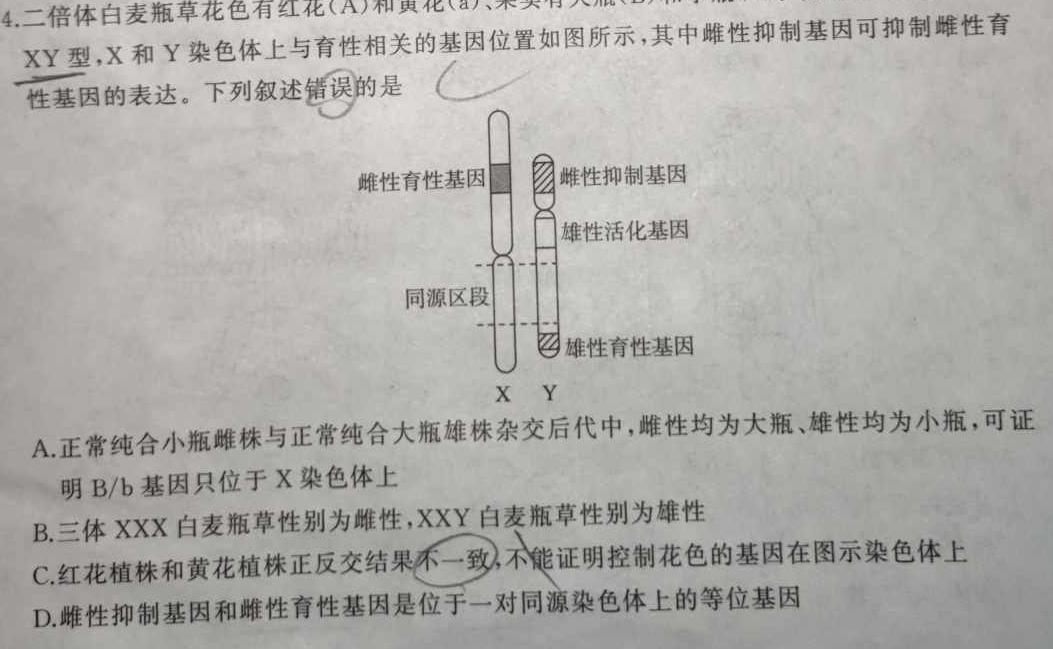 【热荐】邯郸市2024届高三年级第二次调研监测化学