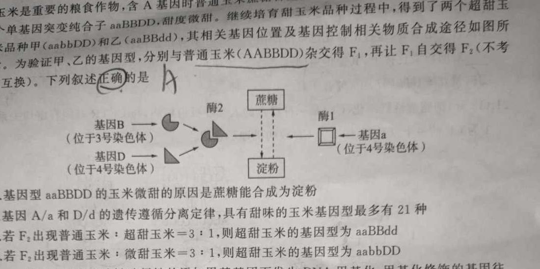 1河北省2023-2024学年保定市高一年级1+3联考化学试卷答案