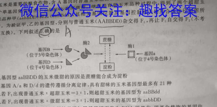 3邕衡金卷·南宁市第三中学(五象校区) 2024届高三第一次适应性考试化学试题