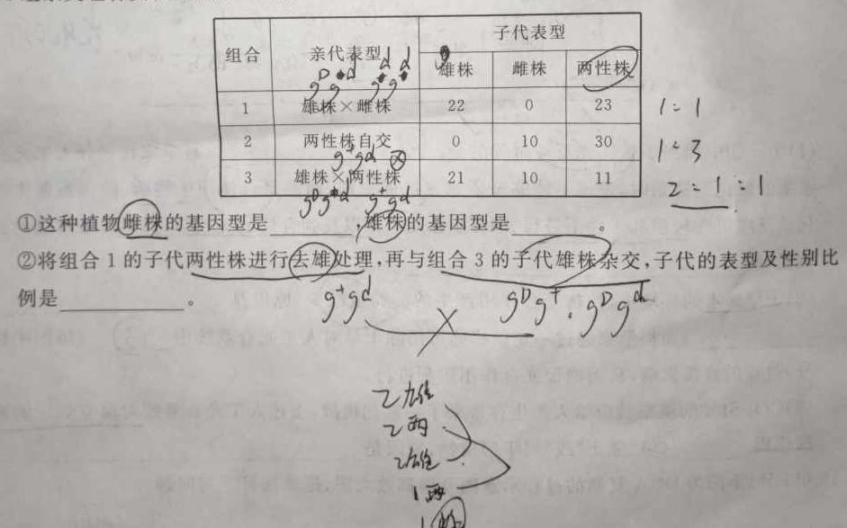 12023-2024学年度高二年级十堰市六县市区一中教联体12月联考化学试卷答案