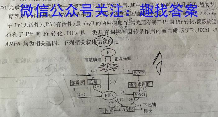 河南省名校联盟2024届高三年级4月模拟考试生物学试题答案