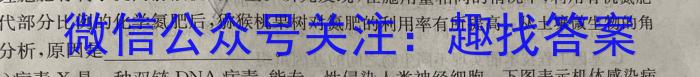 新疆维吾尔自治区2024年普通高考第一次适应性检测生物学试题答案