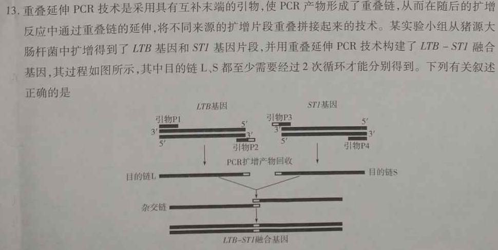 益卷2024年陕西省初中学业水平考试压轴卷生物学部分