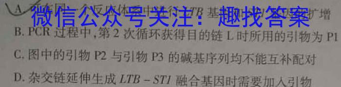 2024届河北省高三学生全过程纵向评价(三)生物学试题答案