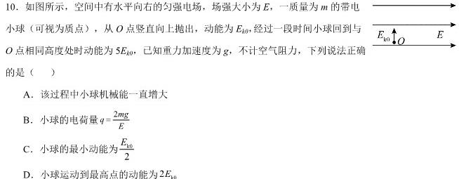 [今日更新]九师联盟·2024届高三12月质量检测巩固卷（新教材-LG）.物理试卷答案