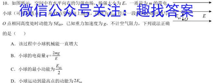 吉林省敦化市实验中学校2023~2024学年度第一学期高三教学质量阶段检测考试(24353C)物理`