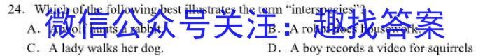 安徽省2023-2024学年上学期九年级教学评价四英语试卷答案