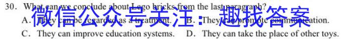 2024年安徽省初三年级最后一卷(二)2英语试卷答案