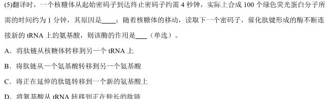 万维中考·2024年成都市高中阶段教育学校统一招生暨初中学业水平考试（白卷）生物学部分